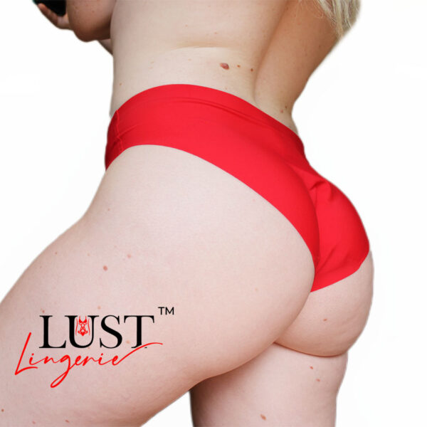 Sissy Classic Nylon Panty