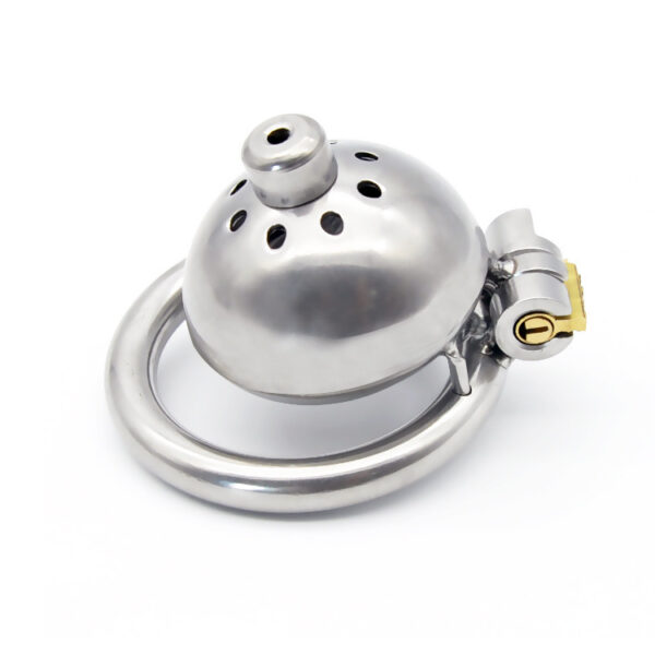 Steel Mini Dome