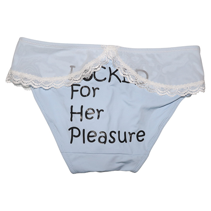 Locked For Her Pleasure Skirted Panty - Image 3